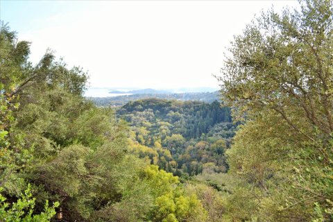 14530m² Land en Corfu, Greece No. 56499 19