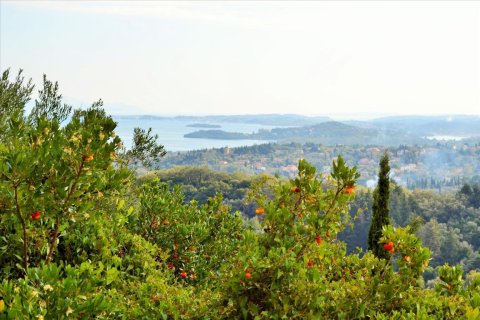 14530m² Land en Corfu, Greece No. 56499 20