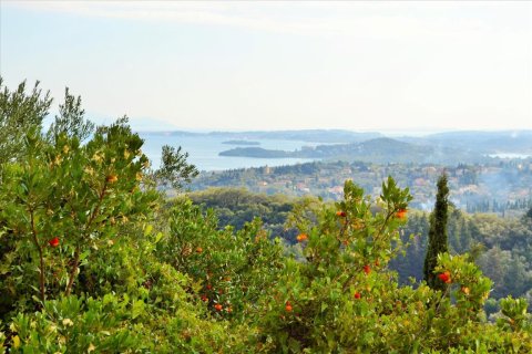 14530m² Land in Corfu, Greece No. 56499 2