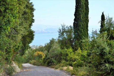 14530m² Land in Corfu, Greece No. 56499 26