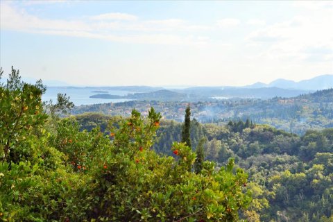 14530m² Land in Corfu, Greece No. 56499 22