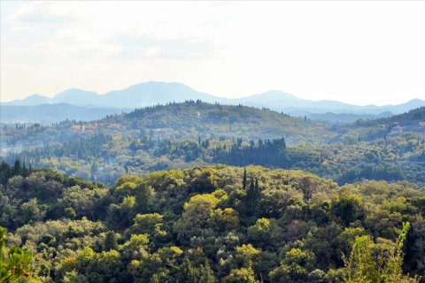 14530m² Land in Corfu, Greece No. 56499 4