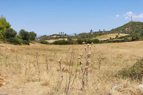 30000m² Land in Chalkidiki, Greece No. 56511 2