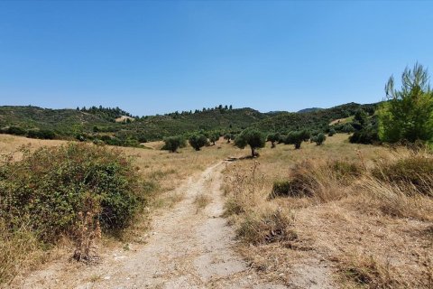 30000m² Land in Chalkidiki, Greece No. 56511 3