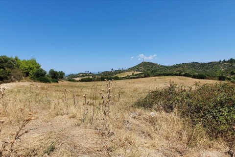 30000m² Land en Chalkidiki, Greece No. 56511 4