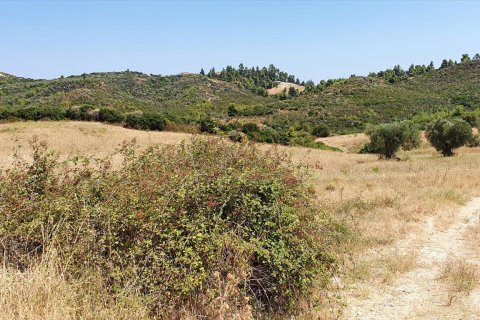 30000m² Land en Chalkidiki, Greece No. 56511 5