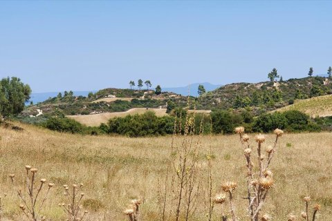 30000m² Land en Chalkidiki, Greece No. 56511 1