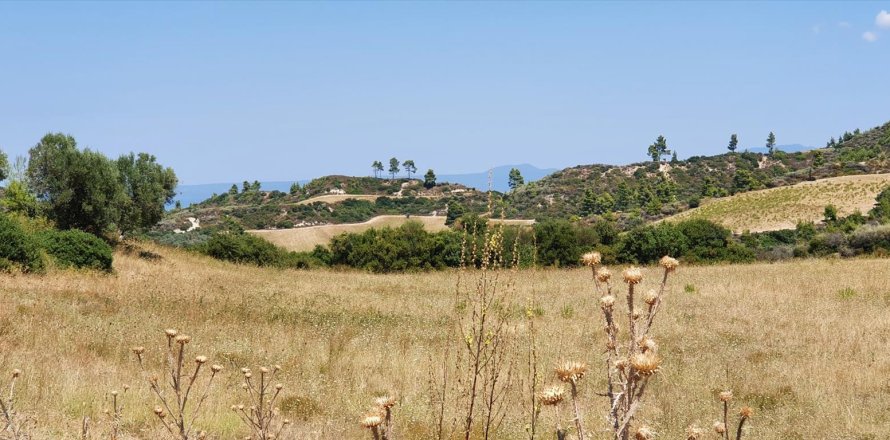 30000m² Land in Chalkidiki, Greece No. 56511