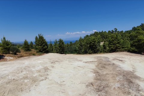 16000m² Land en Chalkidiki, Greece No. 56512 5