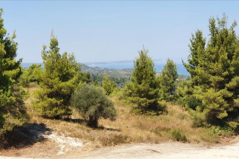 16000m² Land en Chalkidiki, Greece No. 56512 6