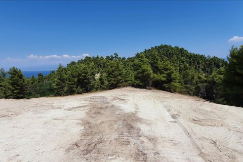 16000m² Land in Chalkidiki, Greece No. 56512 4