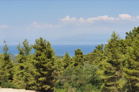 16000m² Land in Chalkidiki, Greece No. 56512 1