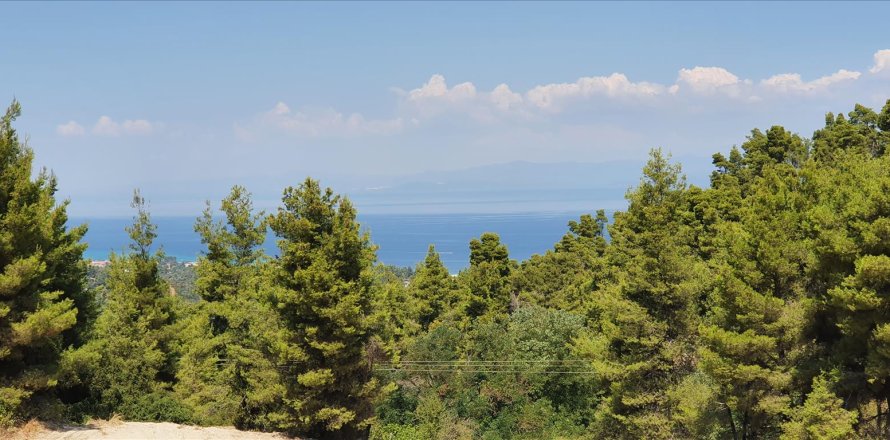 16000m² Land in Chalkidiki, Greece No. 56512