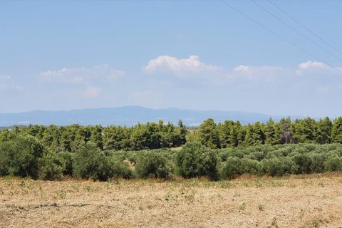 30000m² Land en Chalkidiki, Greece No. 56510 1