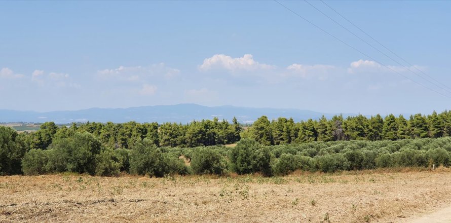 30000m² Land en Chalkidiki, Greece No. 56510