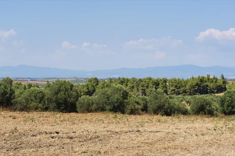 30000m² Land in Chalkidiki, Greece No. 56510 2