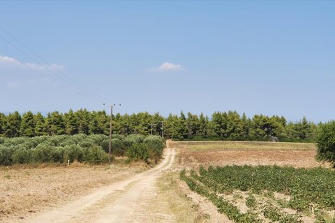 30000m² Land en Chalkidiki, Greece No. 56510 4