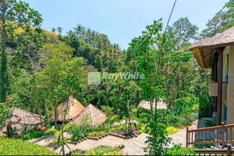 134 bedrooms Villa in Ubud, Indonesia No. 22863 11