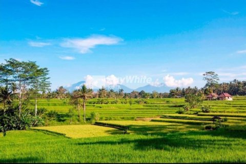 134 dormitorios Villa en Ubud, Indonesia No. 22863 7