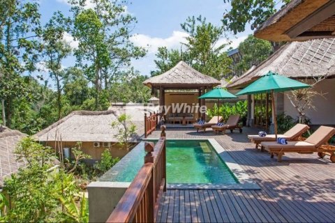 134 bedrooms Villa in Ubud, Indonesia No. 22863 2