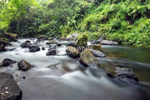 134 bedrooms Villa in Ubud, Indonesia No. 22863 12