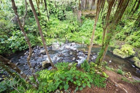 134 dormitorios Villa en Ubud, Indonesia No. 22863 8