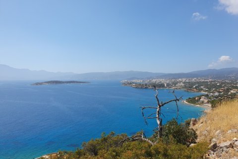 1630m² Land à Agios Nikolaos, Greece No. 55541 3