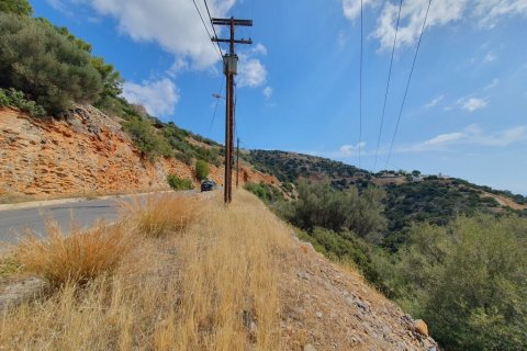 1630m² Land en Agios Nikolaos, Greece No. 55541 4