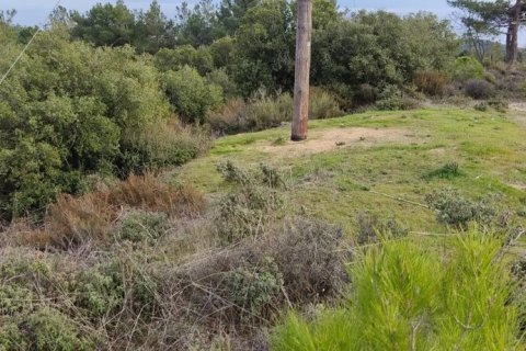 6314m² Land en Kavala, Greece No. 55556 4