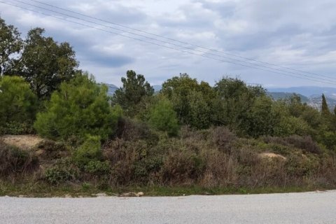 6314m² Land en Kavala, Greece No. 55556 3