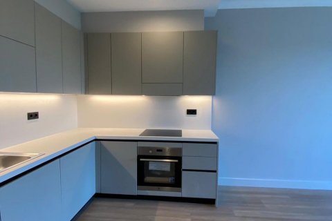 1+1 Appartement à Istanbul, Turkey No. 15609 3