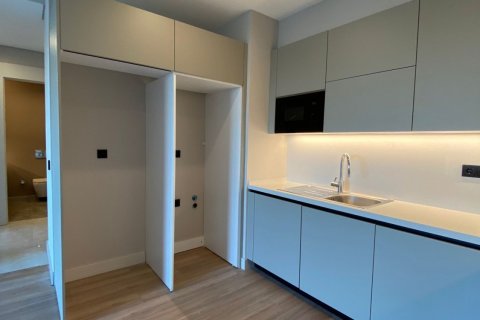 1+1 Appartement à Istanbul, Turkey No. 15609 7