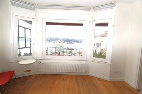 9+1 Villa in Istanbul, Turkey No. 20691 5