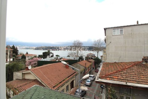 9+1 Villa in Istanbul, Turkey No. 20691 8