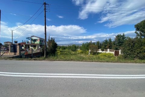 14000m² Land in Thermi, Greece No. 55567 1