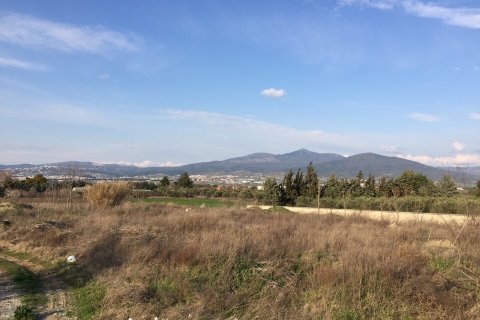 14000m² Land en Thermi, Greece No. 55567 6