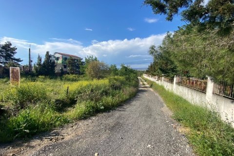 14000m² Land in Thermi, Greece No. 55567 3