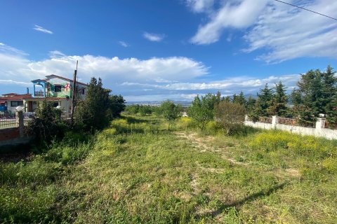 14000m² Land en Thermi, Greece No. 55567 2