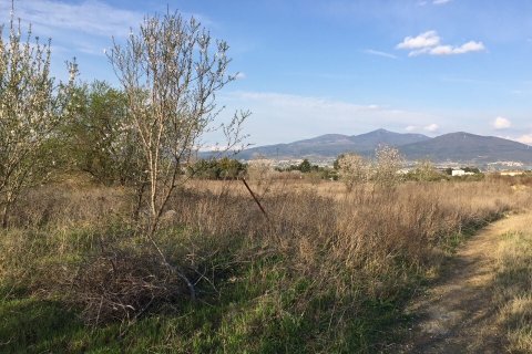 14000m² Land in Thermi, Greece No. 55567 4