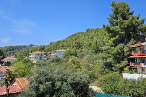 210m² Hotel à Chalkidiki, Greece No. 55576 10