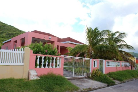 148.64m² Villa in Basseterre, Saint Kitts and Nevis No. 61536 1