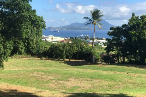 8093.71m² Land in Brumaire, Saint Kitts and Nevis No. 61533 1