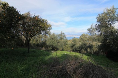 3 chambres House à Corfu, Greece No. 57646 11