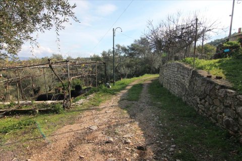 3 chambres House à Corfu, Greece No. 57646 15