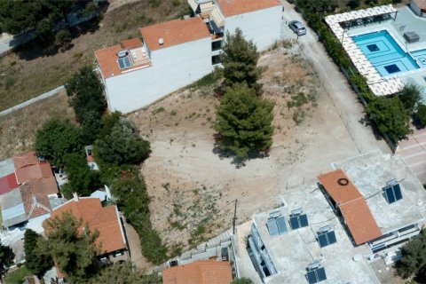 1116m² Land à Chalkidiki, Greece No. 57626 2