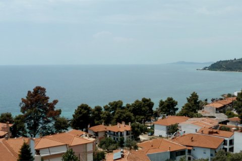 1116m² Land en Chalkidiki, Greece No. 57626 6