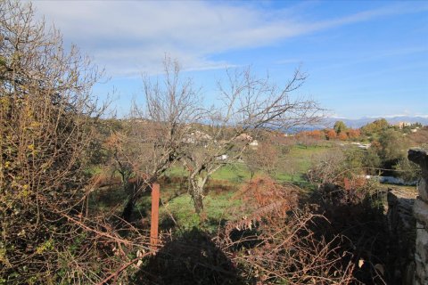 9000m² Land en Corfu, Greece No. 57650 4