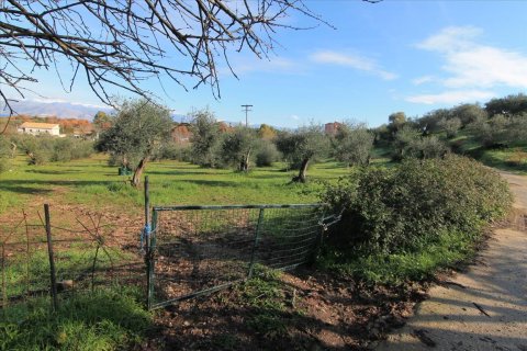 9000m² Land à Corfu, Greece No. 57650 3