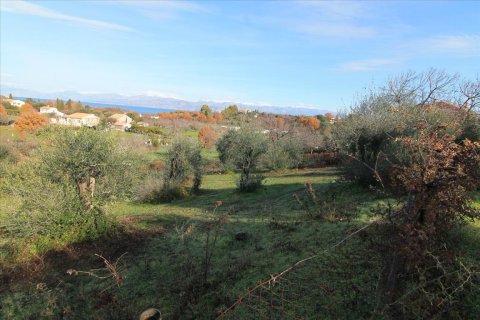 9000m² Land en Corfu, Greece No. 57650 2