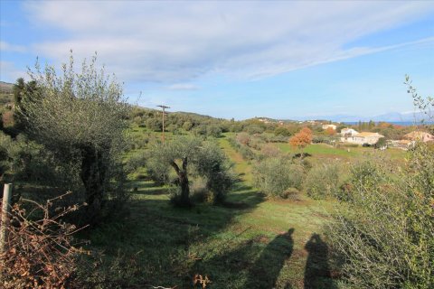 9000m² Land en Corfu, Greece No. 57650 1